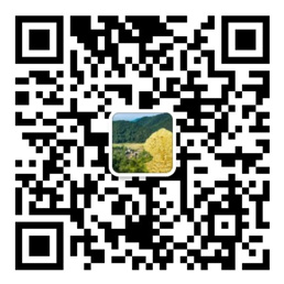 财神争霸8首页登录大厅